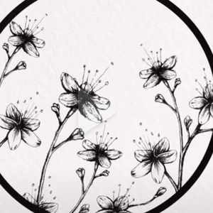 Meet your Posher, Damaris